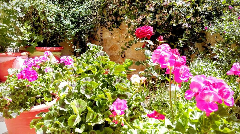 Valentini Guesthouse Karpenisi Buitenkant foto