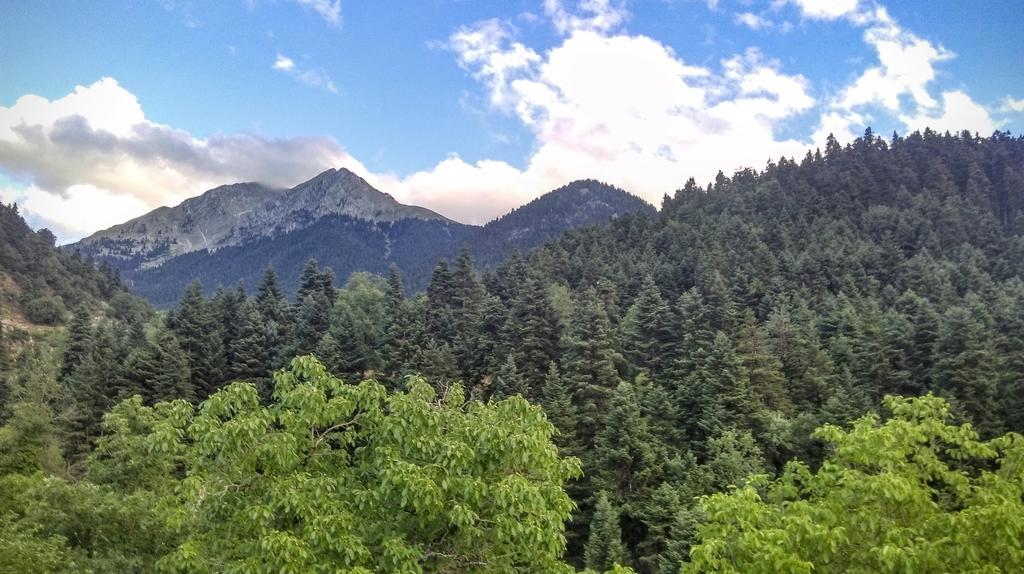 Valentini Guesthouse Karpenisi Buitenkant foto